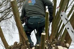 MiniIMG_2584