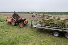 MiniIMG_2587