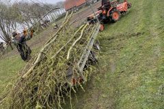 MiniIMG_2588