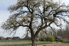 MiniIMG_2589