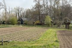 MiniIMG_2590
