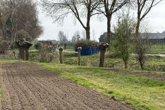 MiniIMG_2591