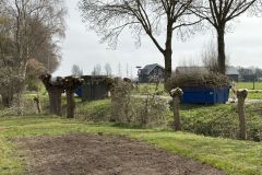 MiniIMG_2592