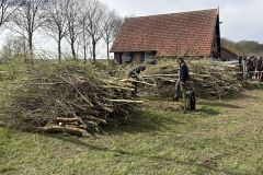 MiniIMG_2593