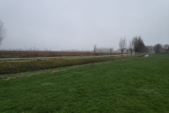 MiniIMG_20240113_084223