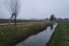 MiniIMG_20240113_084235_1