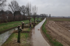MiniIMG_20240113_110427