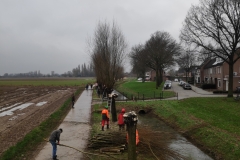 MiniIMG_20240113_110433_1