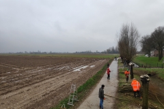 MiniIMG_20240113_110445_1