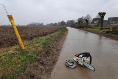 MiniIMG_20240113_111442