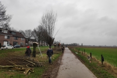 MiniIMG_20240113_120620_1