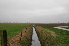 MiniIMG_20240113_120626