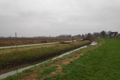 MiniIMG_20240113_125508