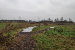 MiniIMG_20240113_133941