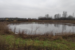 MiniIMG_20240113_134033