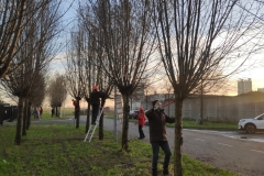 MiniIMG091117