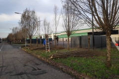 MiniIMG094430