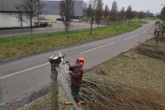 MiniIMG115214_1