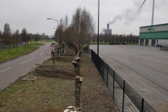 MiniIMG115218_1