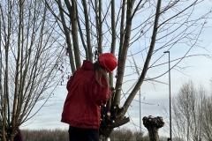 MiniIMG_4874