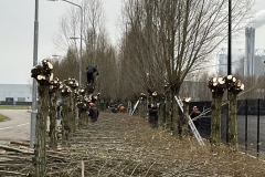 MiniIMG_4884