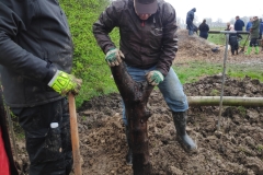 MiniIMG_20230401_110144_1