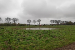 MiniIMG_20230401_113727_1