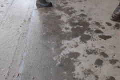 MiniIMG_20230401_121516