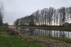 MiniIMG_20230128_101018