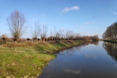 MiniIMG_20230128_130304_1