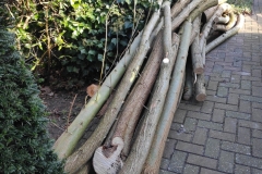 MiniIMG_20230128_133051