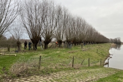 MiniIMG_2482