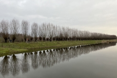 MiniIMG_2483