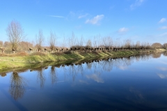 MiniIMG_2492