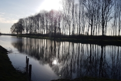 Mini20200307_084728