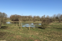 MiniIMG_0913