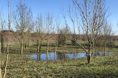 MiniIMG_0914