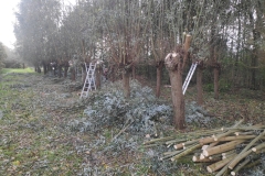 MiniIMG_20231103_093352_1