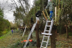 MiniIMG_20231103_111737