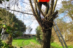 MiniIMG_20231103_135328