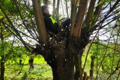 MiniIMG_20231103_135425_1