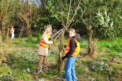 MiniIMG_20231103_135512