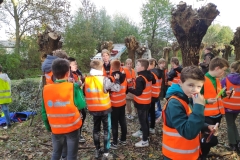 MiniIMG_20231103_141102