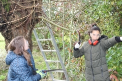 MiniIMG_4824