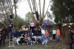 MiniIMG_4828