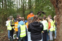 MiniIMG_4831