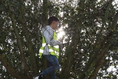 MiniIMG_4851