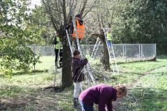MiniIMG_4852