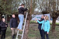 MiniMini20251031_084753