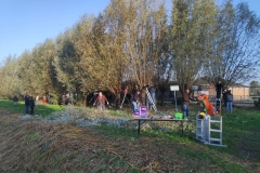 MiniIMG_20221104_090339